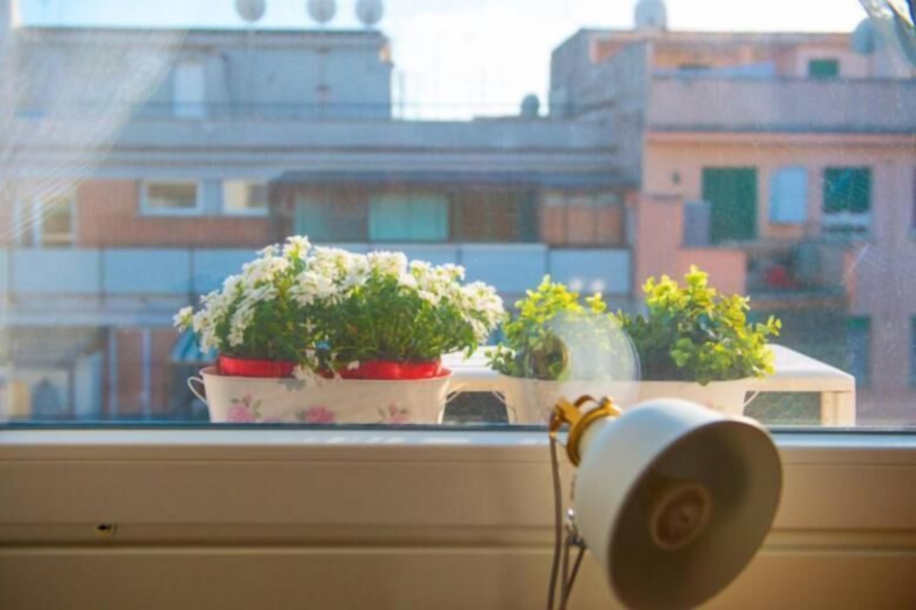 Letto E Latte Roma Guest House — Foto 1